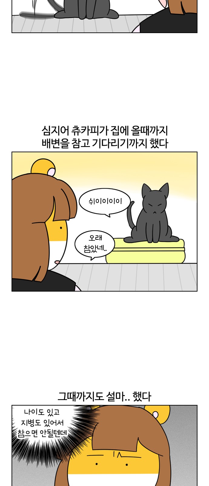 10 페이지
