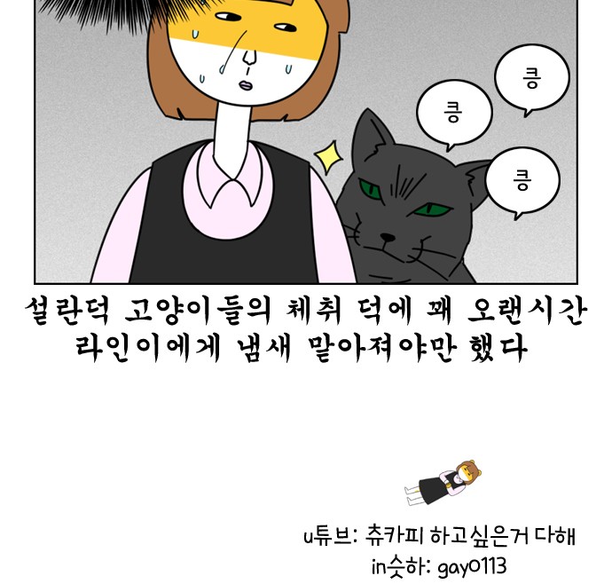 20 페이지