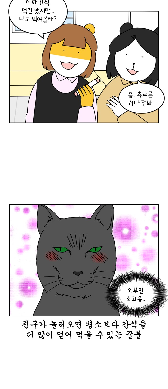 16 페이지