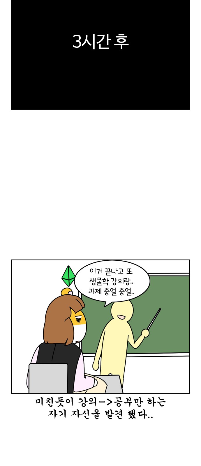 13 페이지