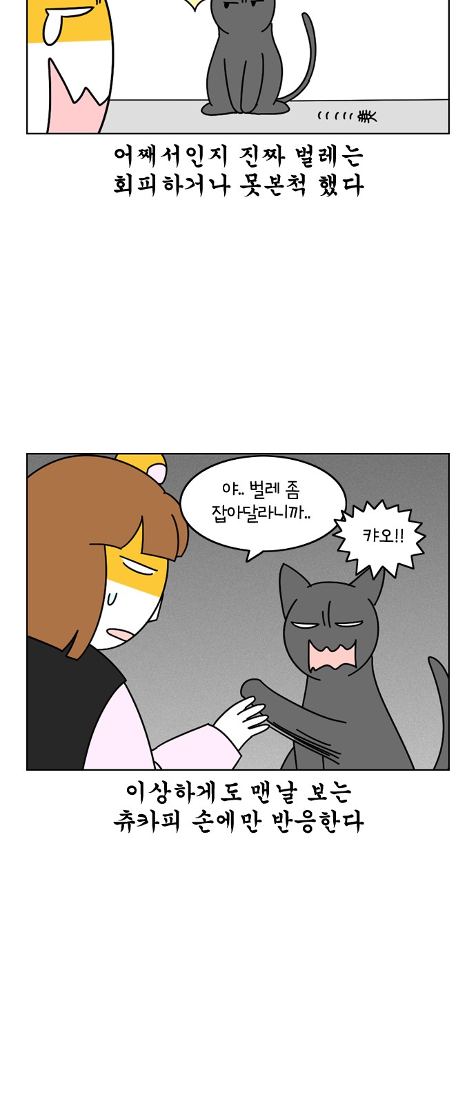 12 페이지