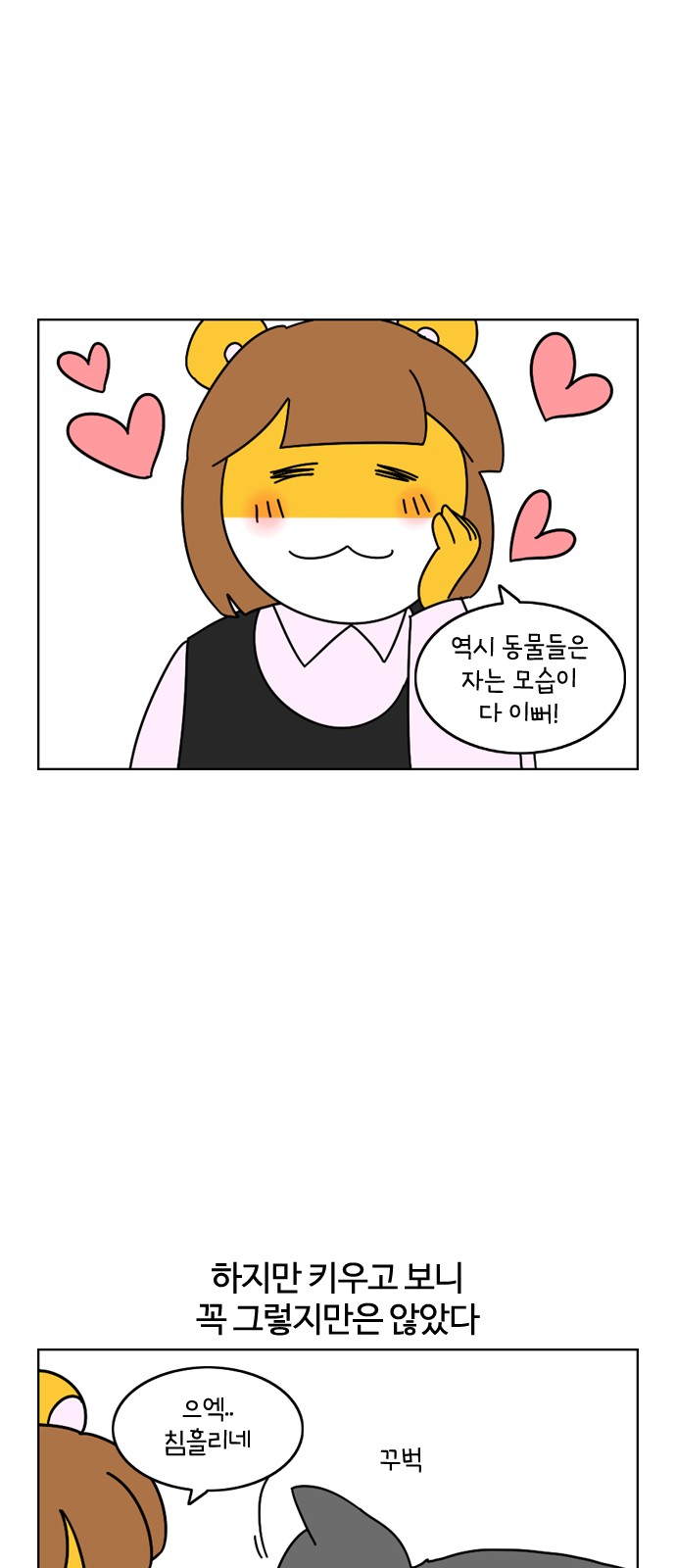 14 페이지