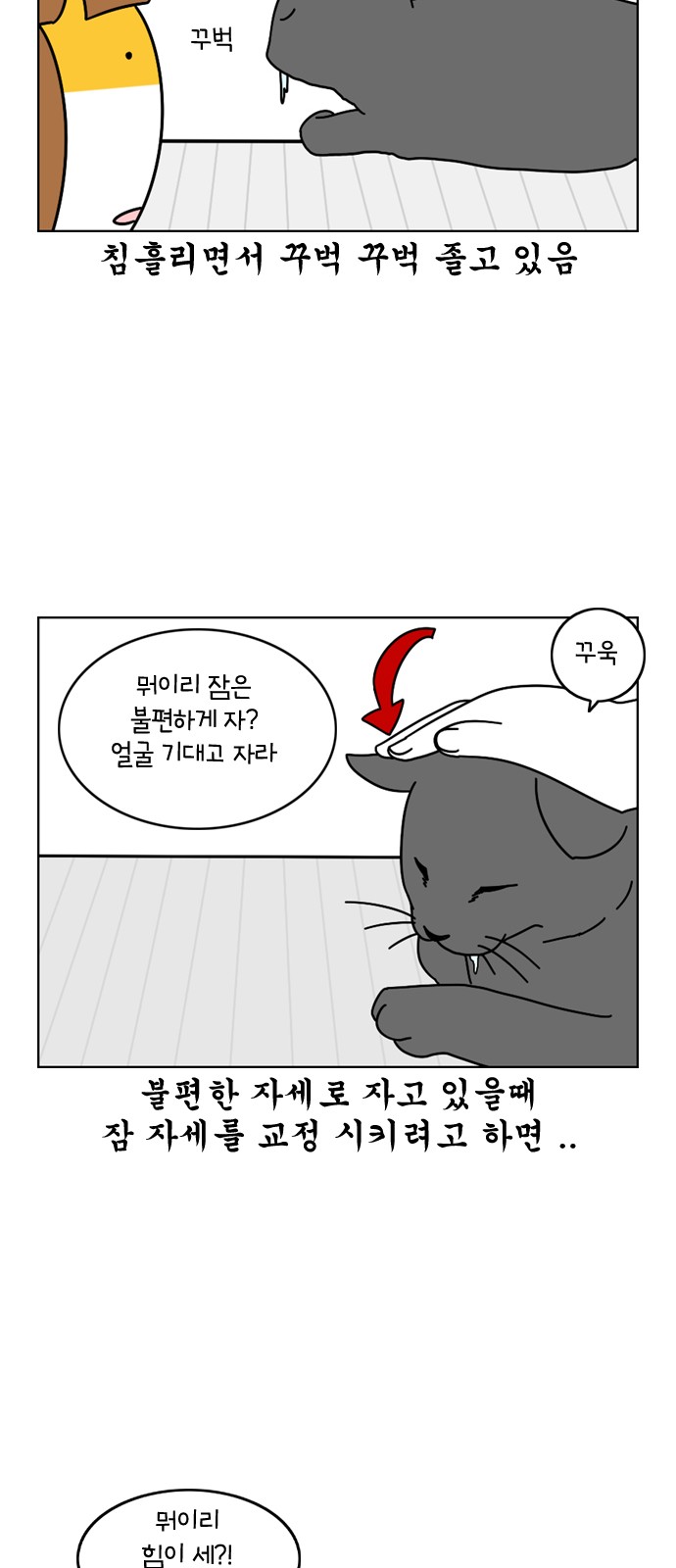 15 페이지