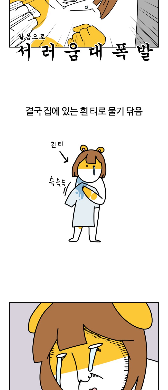 17 페이지