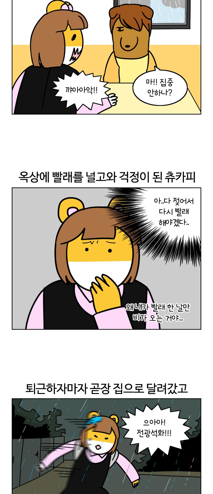 12 페이지