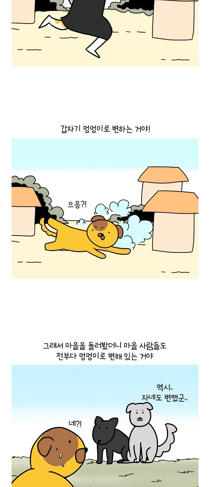 16 페이지