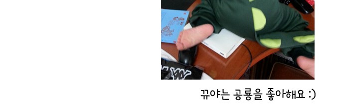 24 페이지