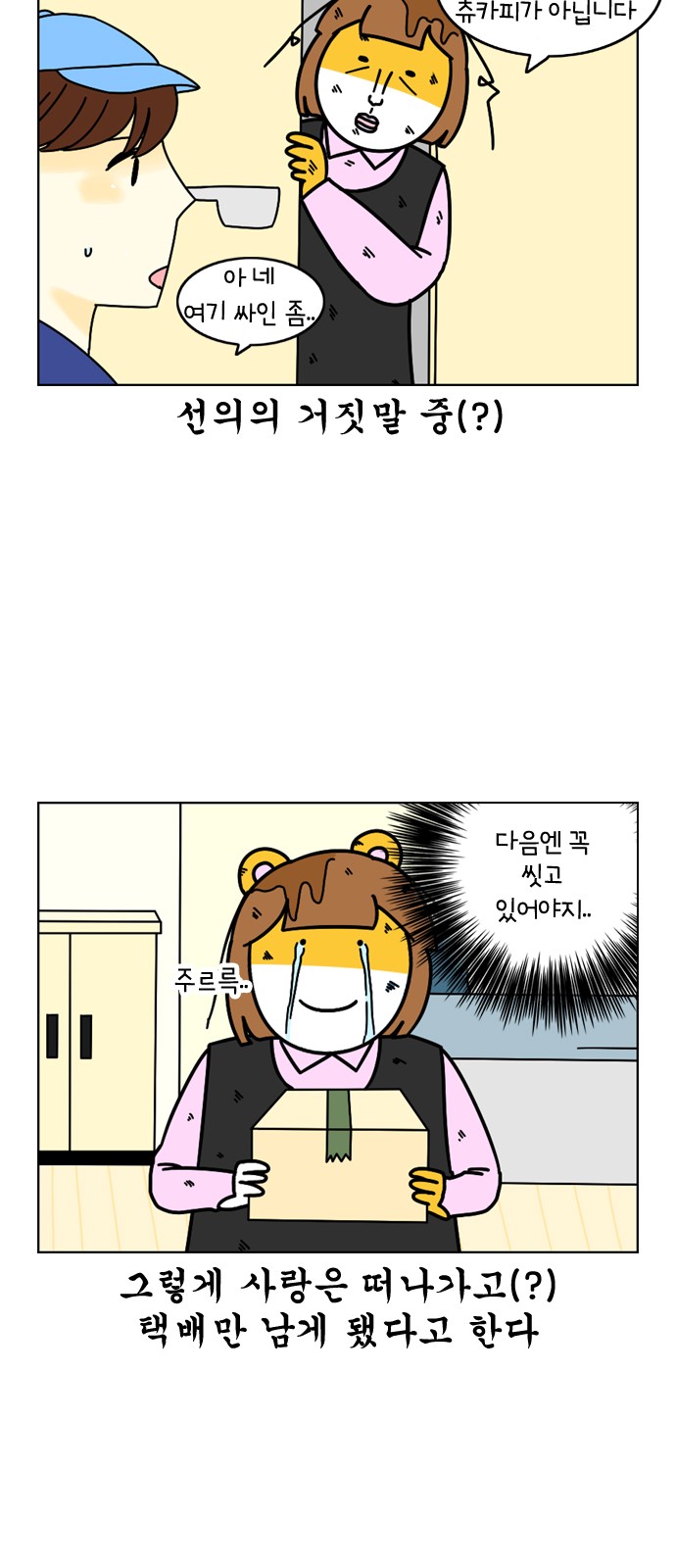 11 페이지