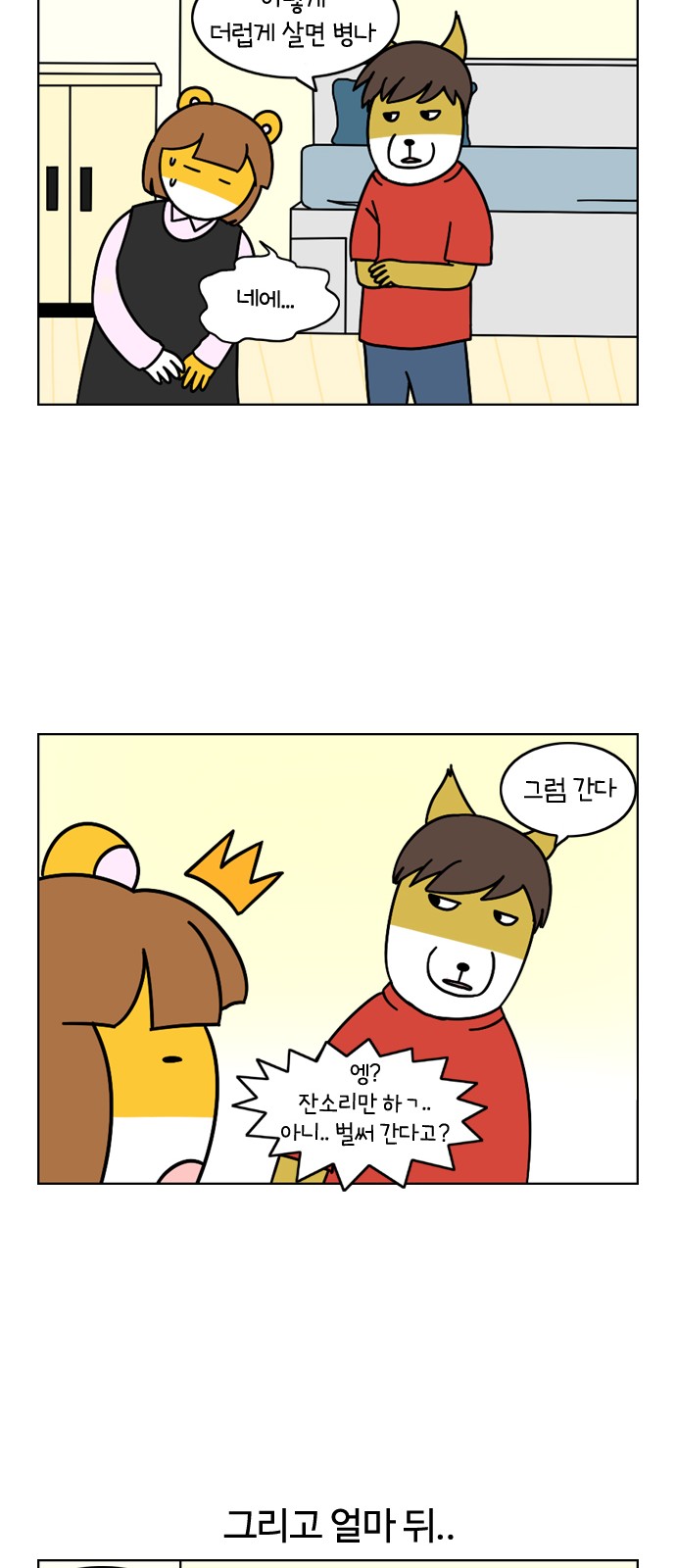 14 페이지