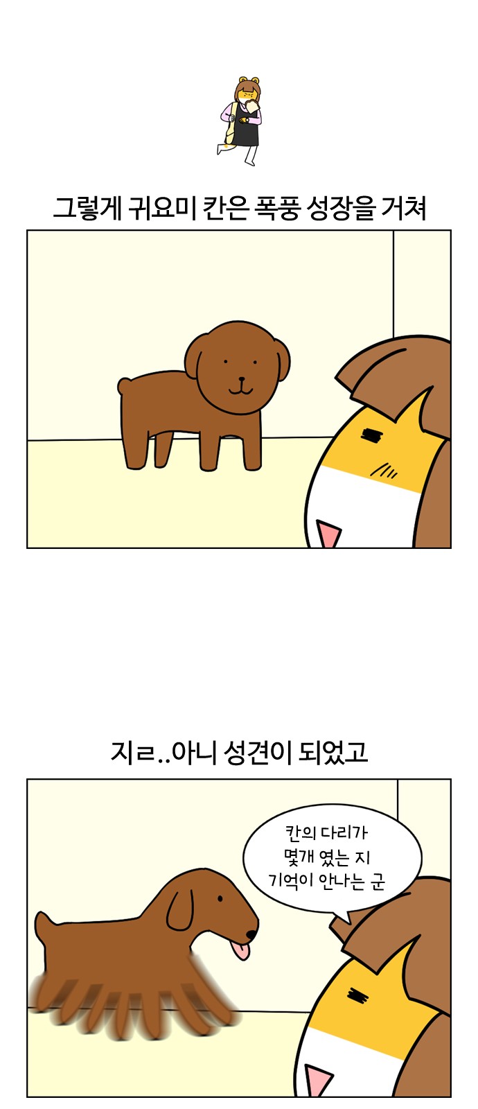 10 페이지