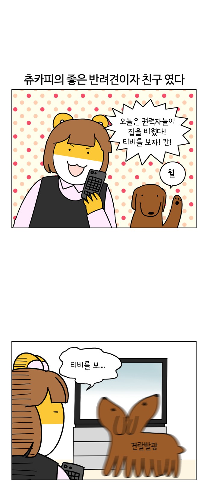 11 페이지