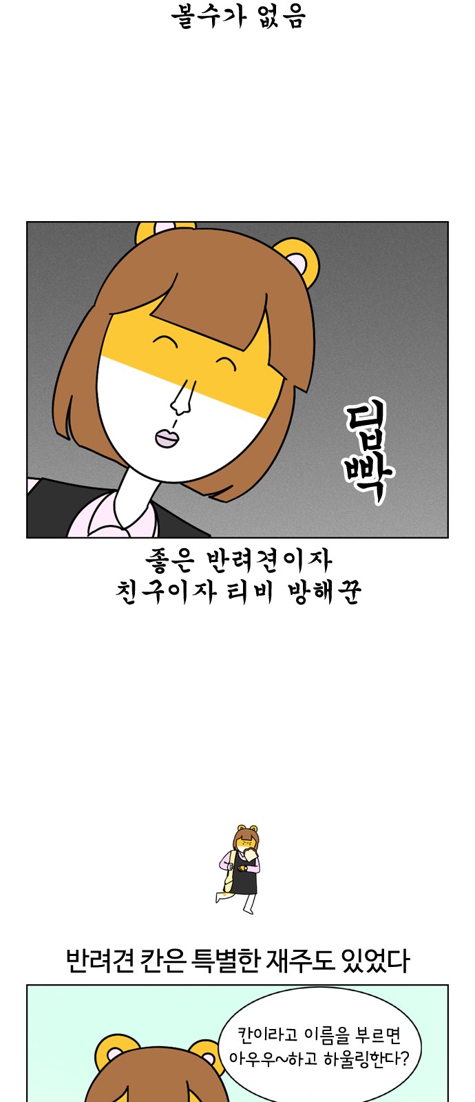 12 페이지