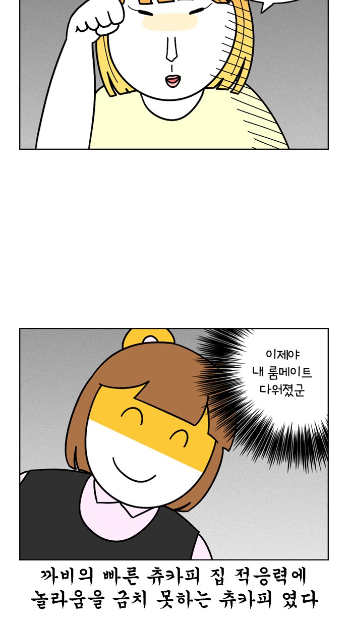 20 페이지