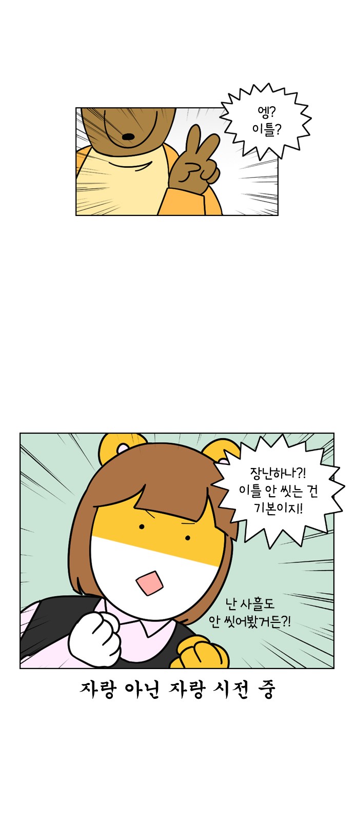 13 페이지