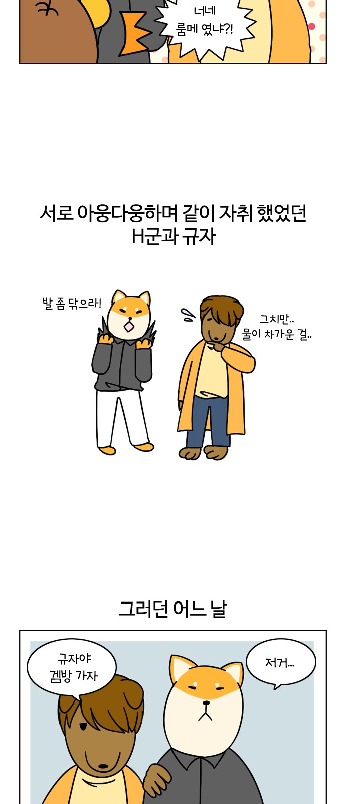16 페이지