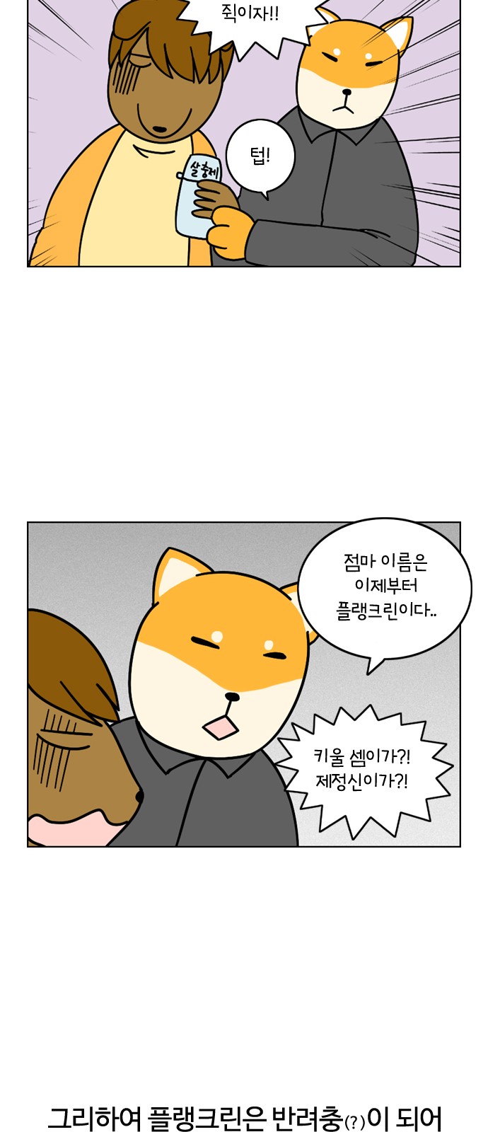 18 페이지