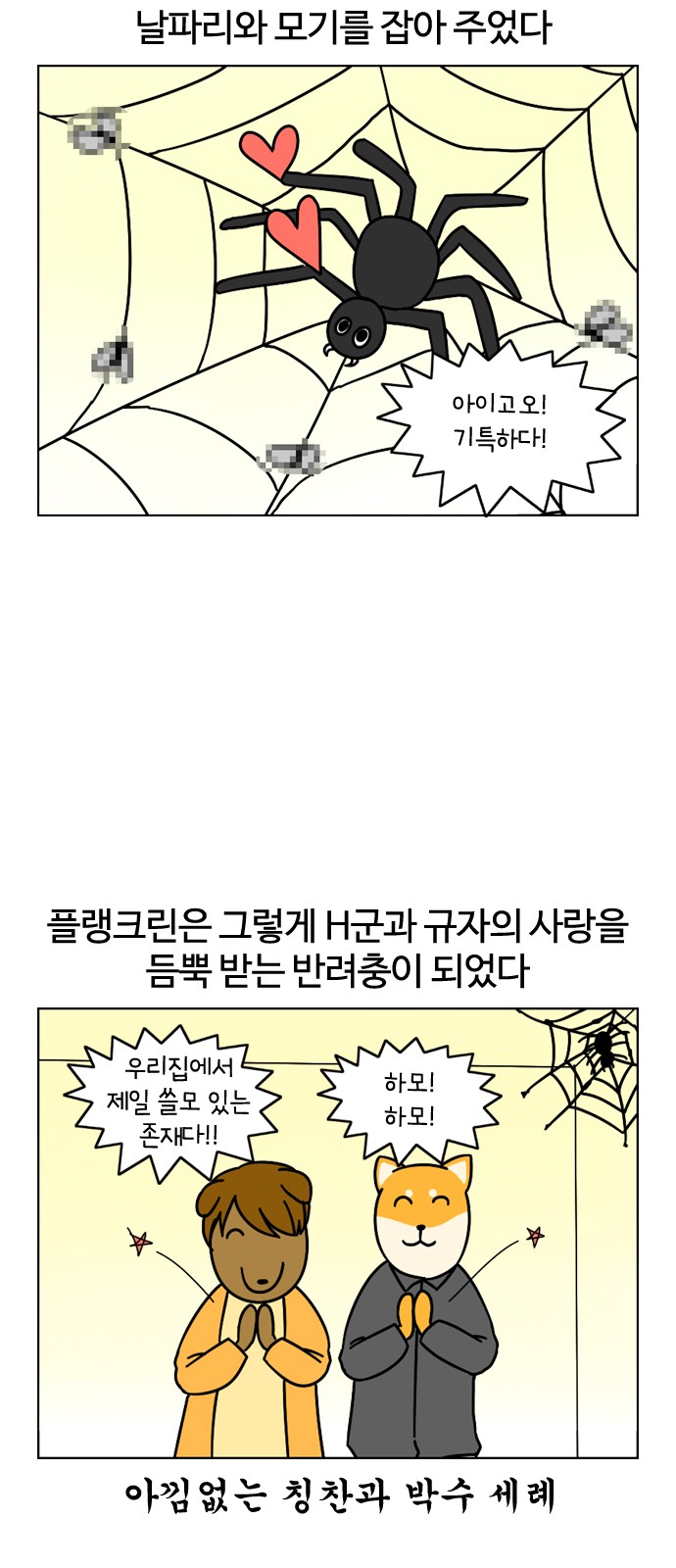 19 페이지