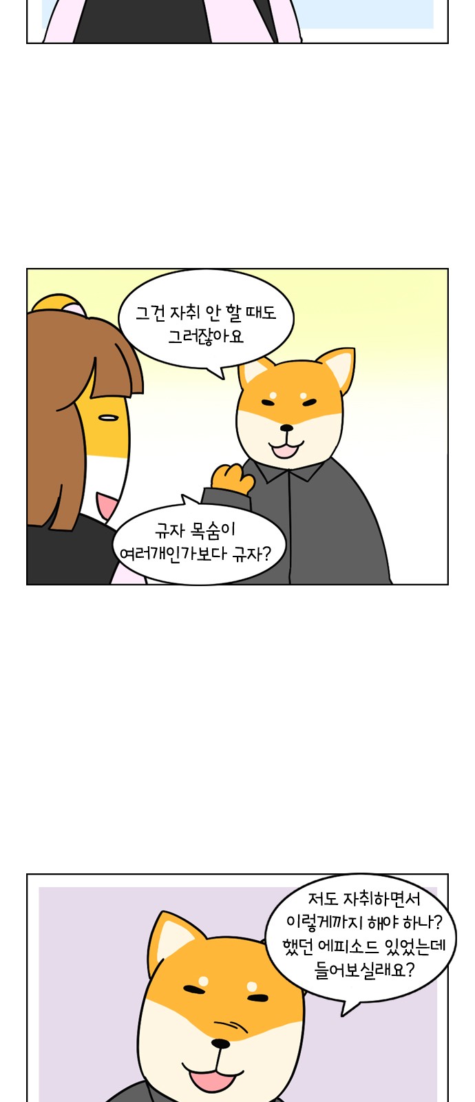 5 페이지
