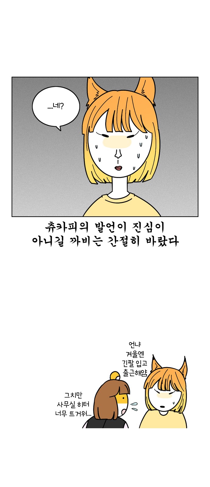 15 페이지