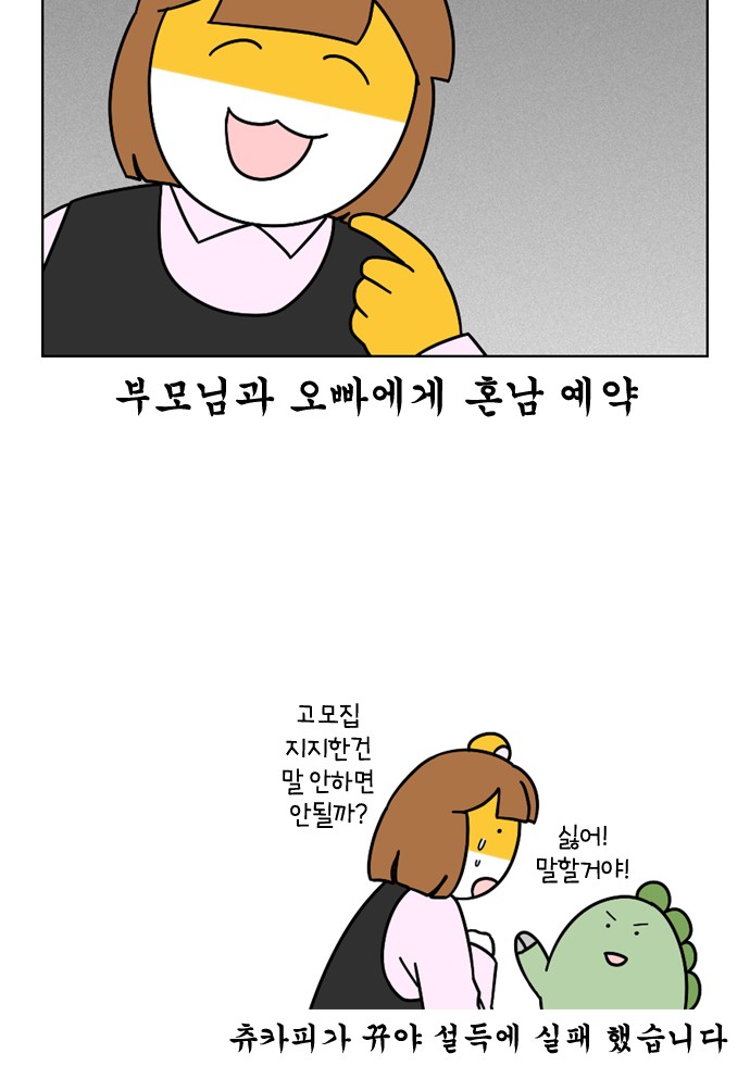 27 페이지