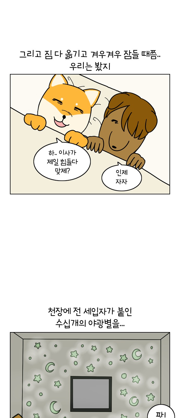 11 페이지