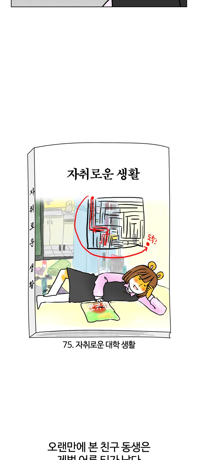 5 페이지
