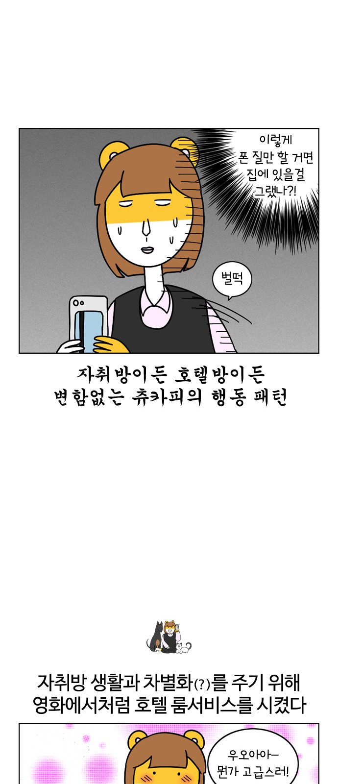 20 페이지