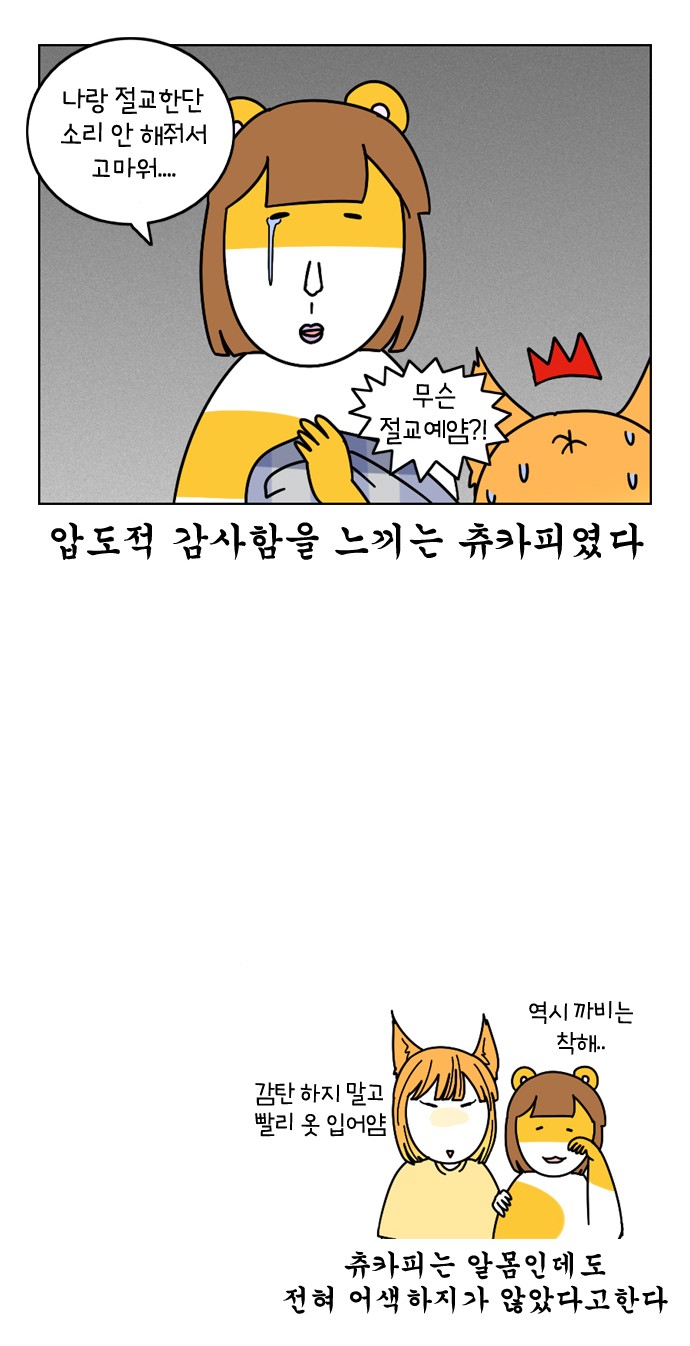 23 페이지