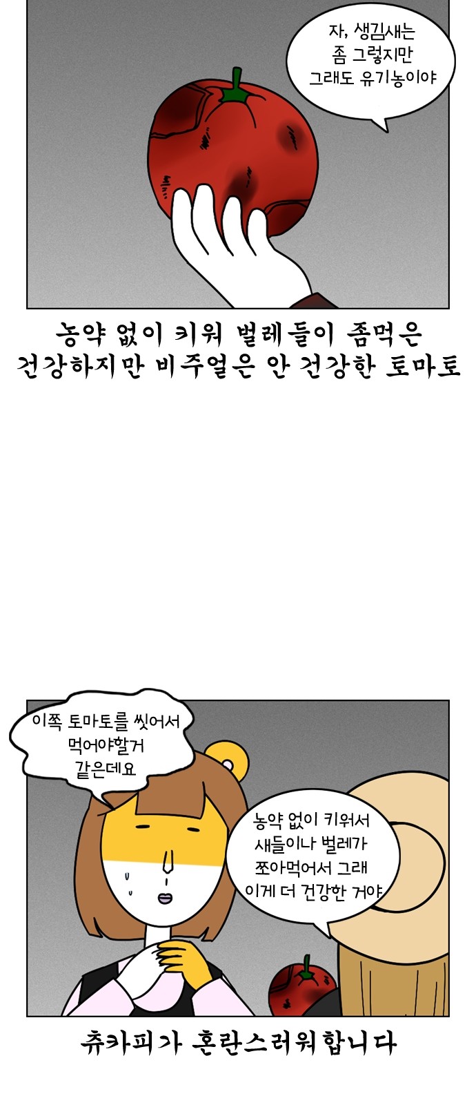 12 페이지