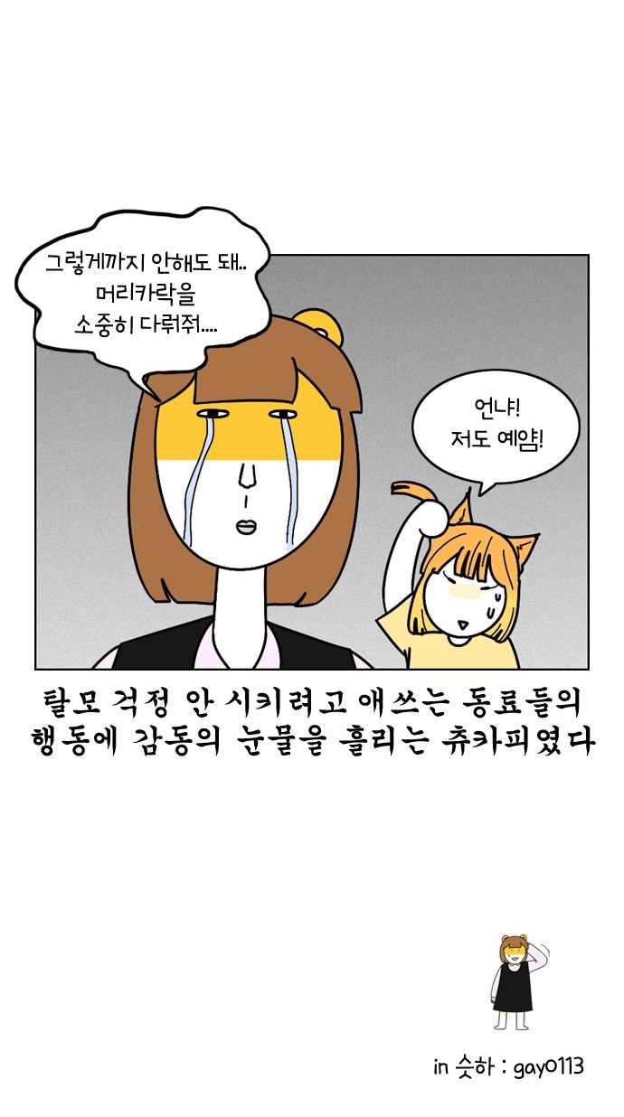 26 페이지