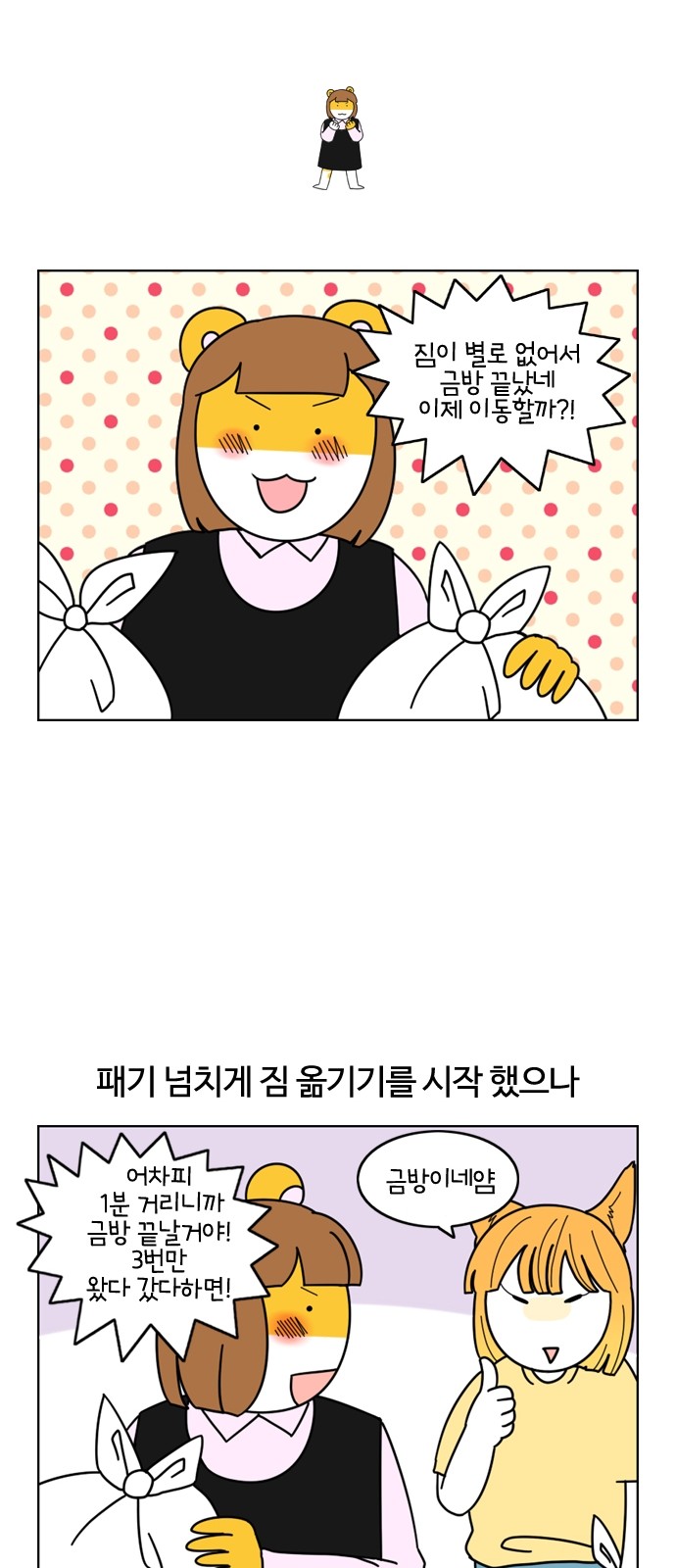 19 페이지
