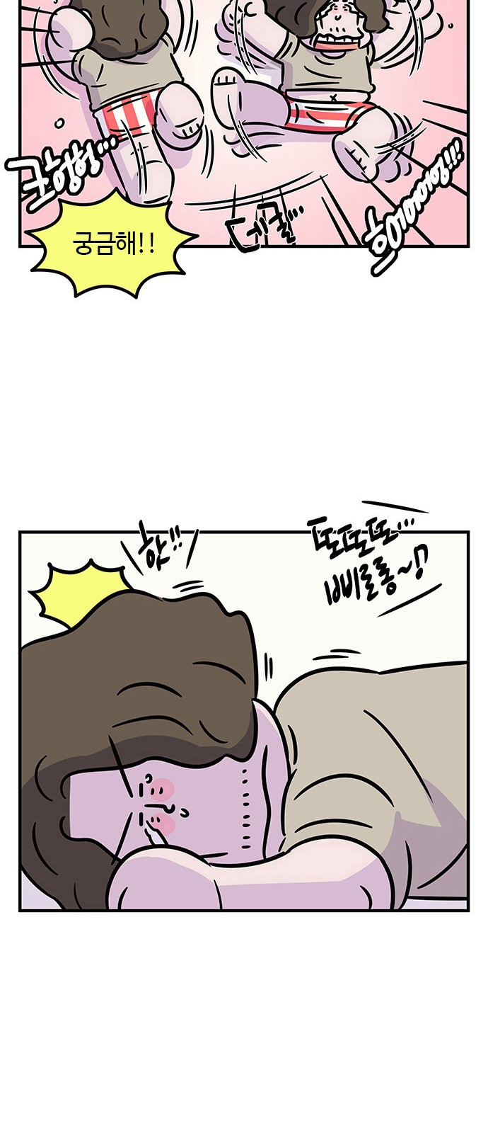 5 페이지