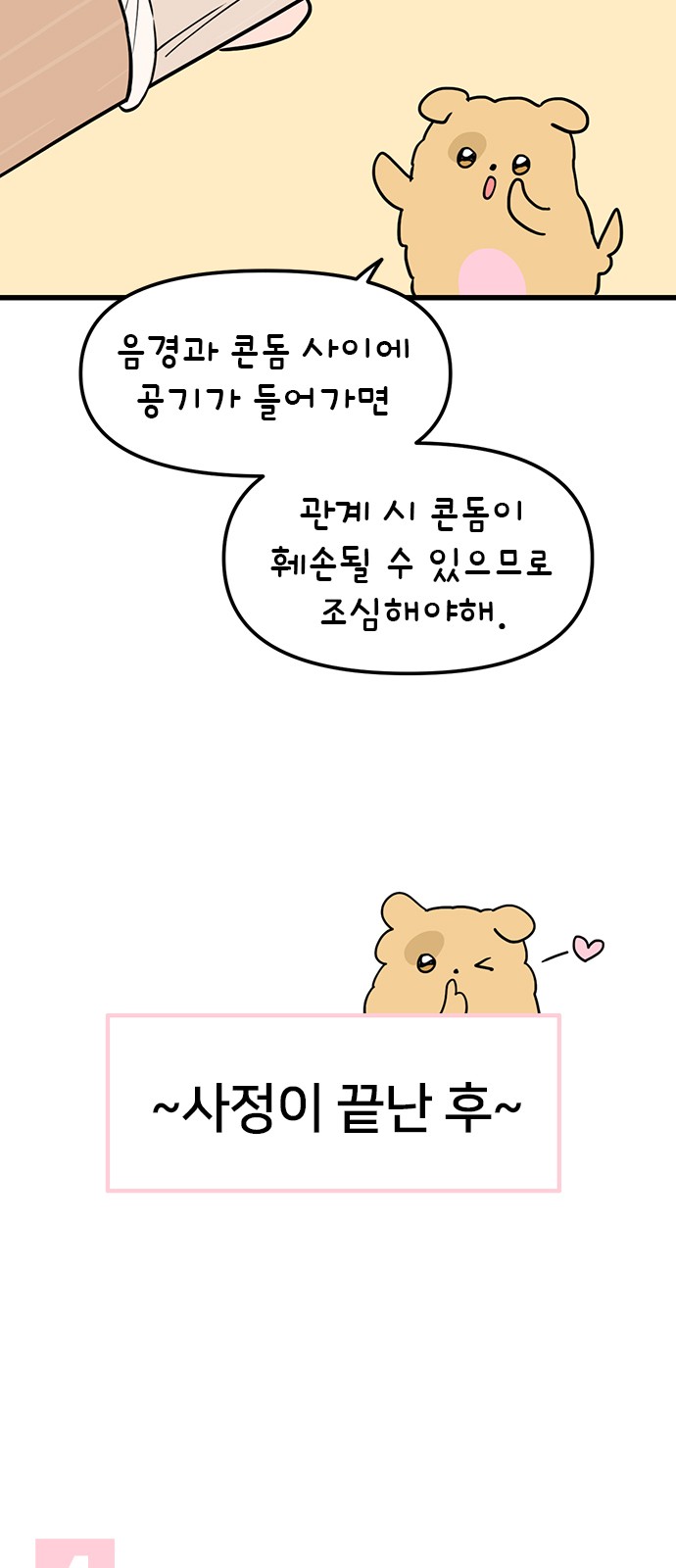 29 페이지