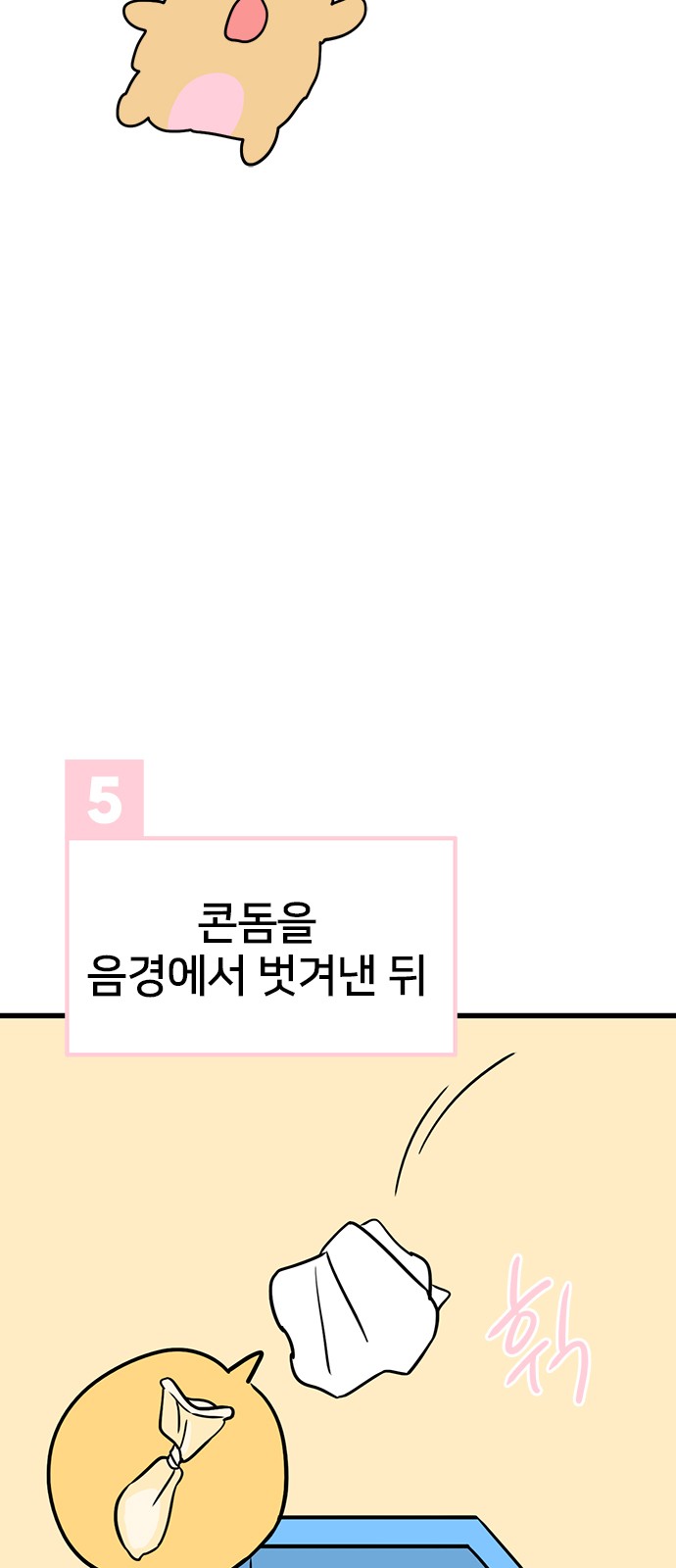 31 페이지