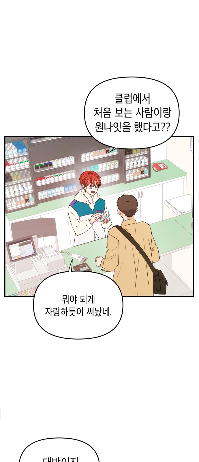 13 페이지
