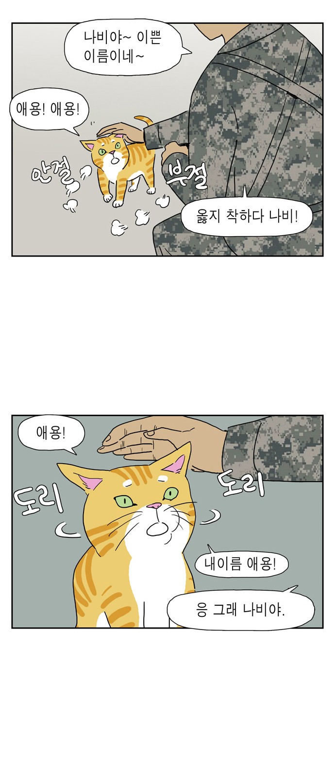 21 페이지
