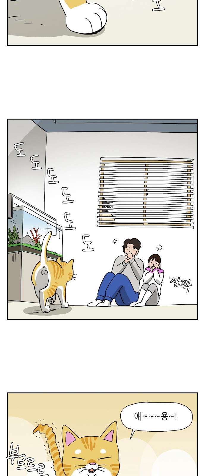 14 페이지