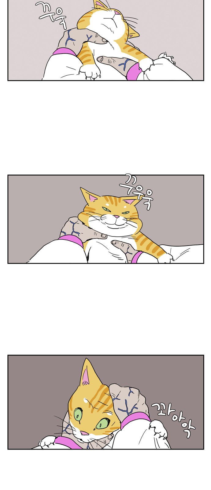 5 페이지