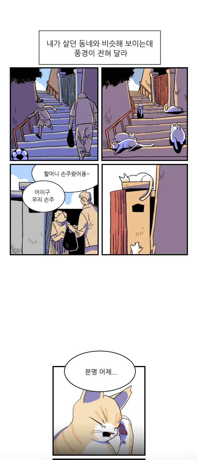 5 페이지