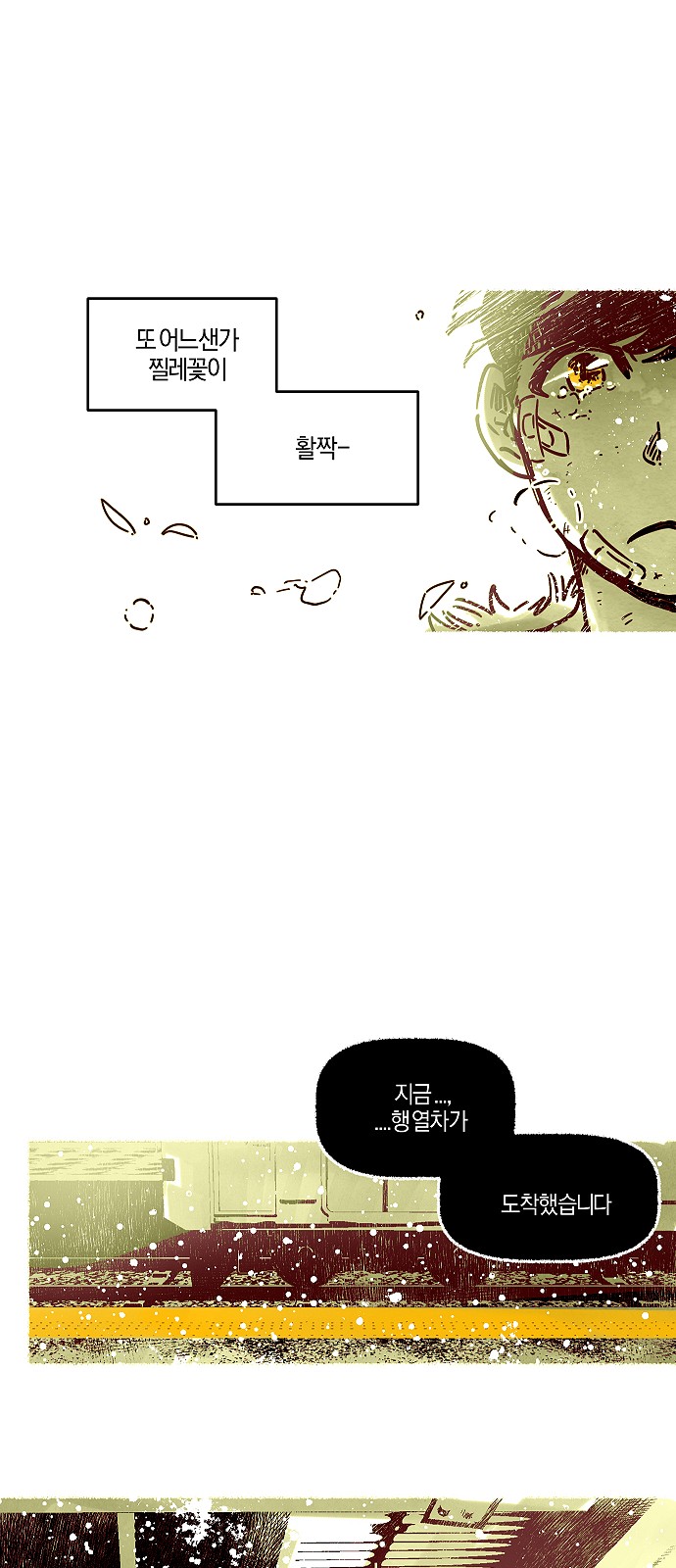 66 페이지