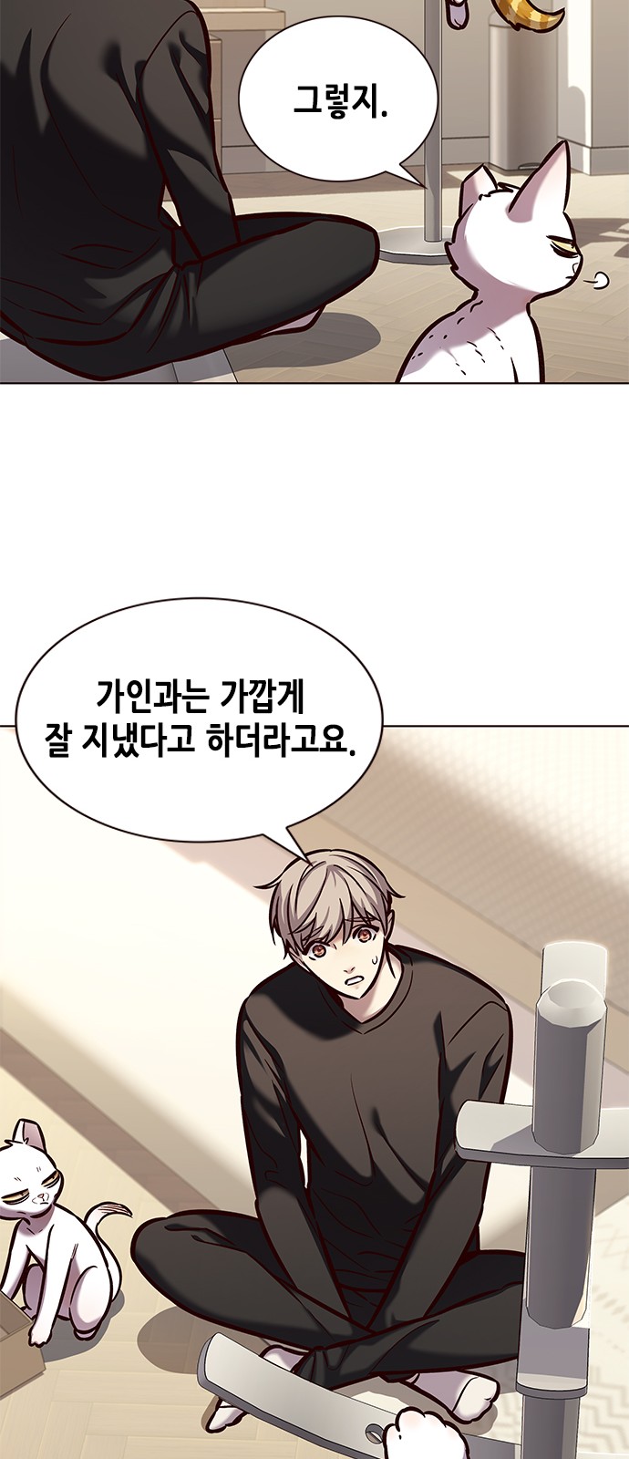 41 페이지