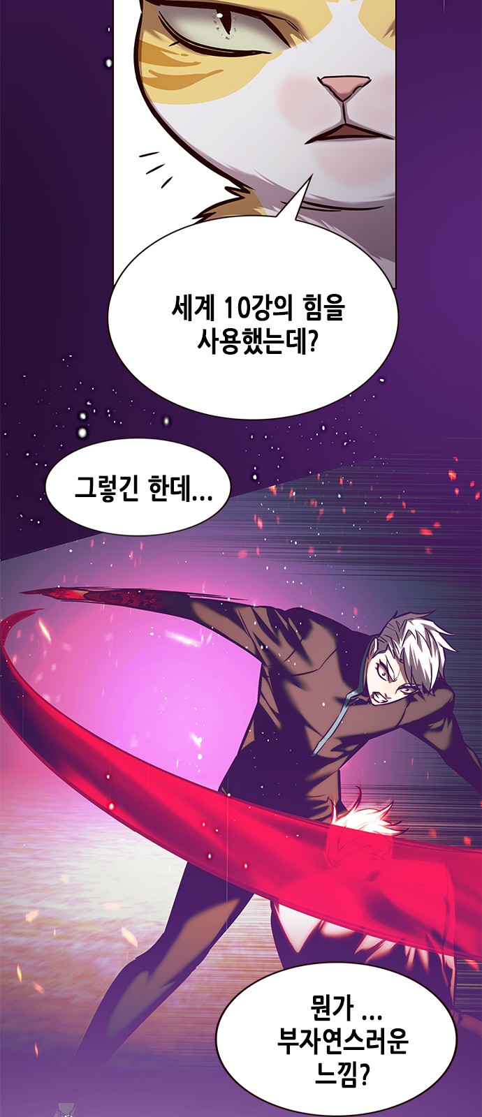 50 페이지