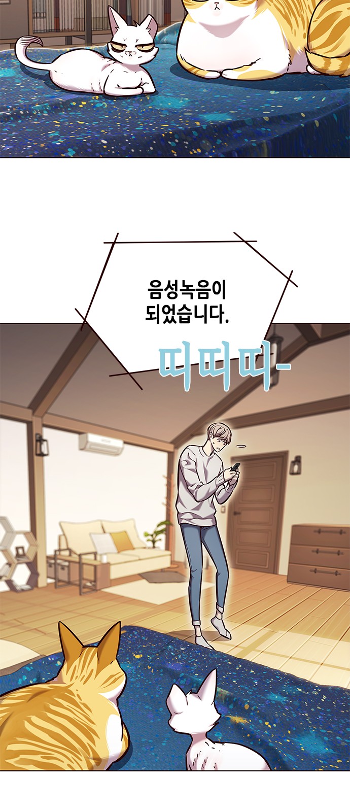 13 페이지