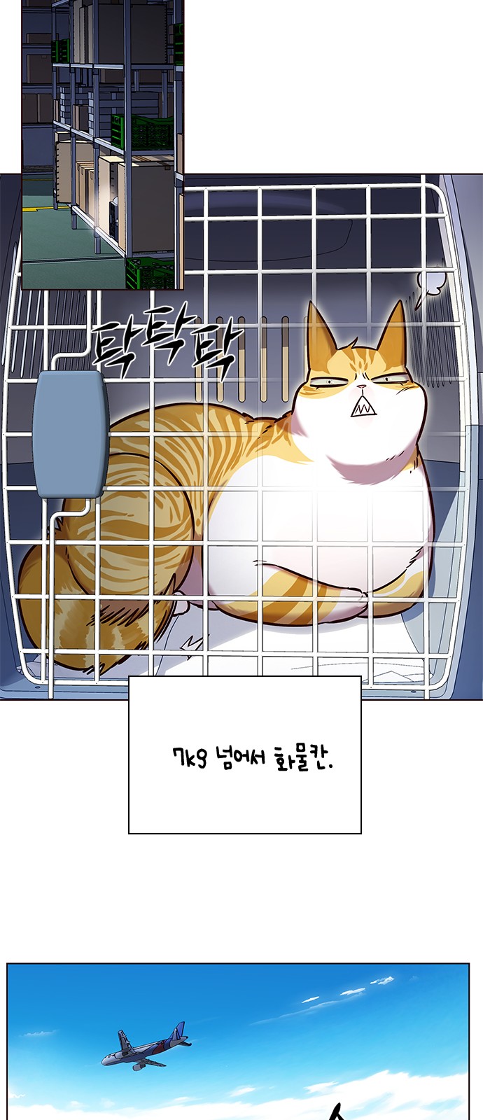 22 페이지