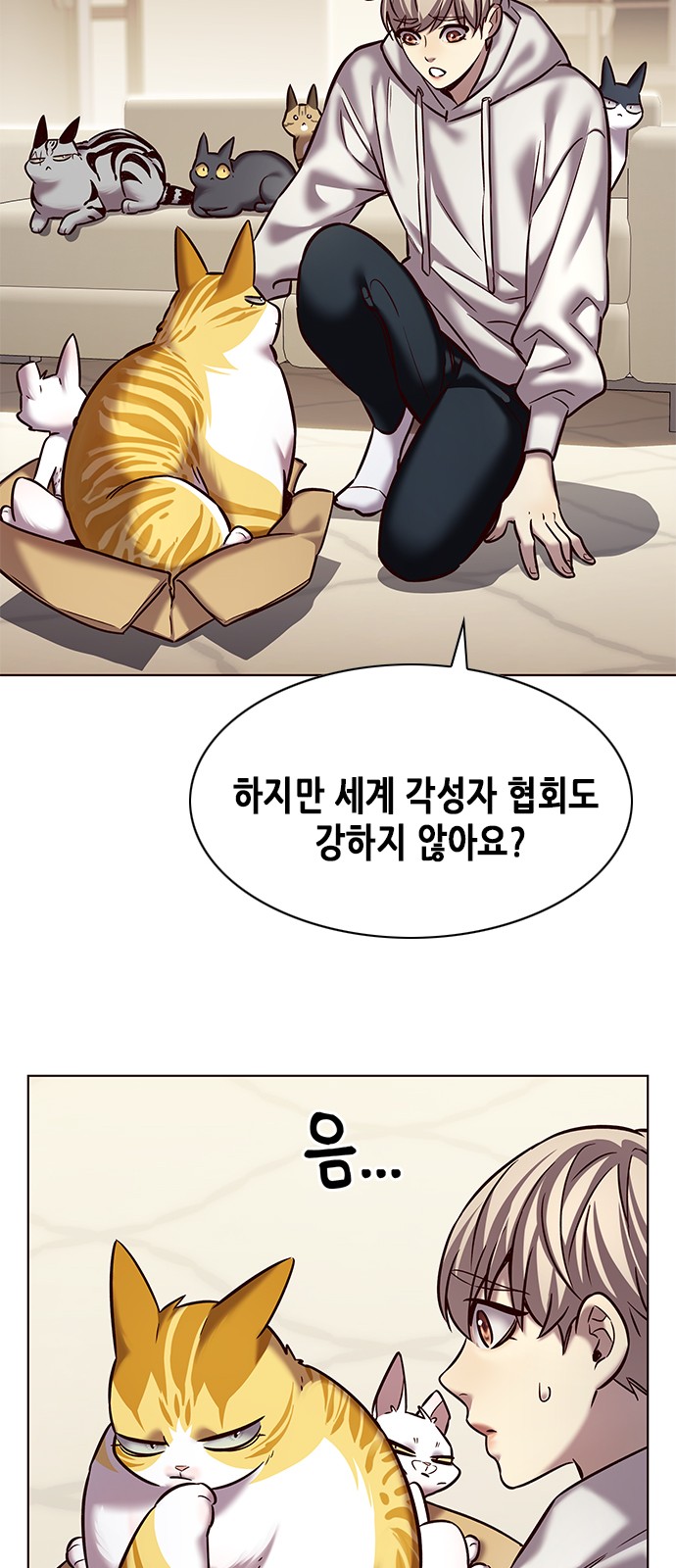 38 페이지