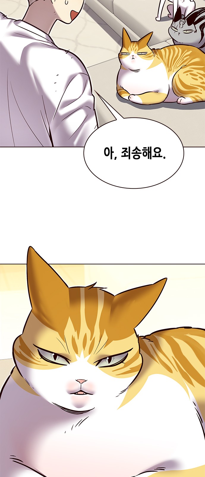 64 페이지