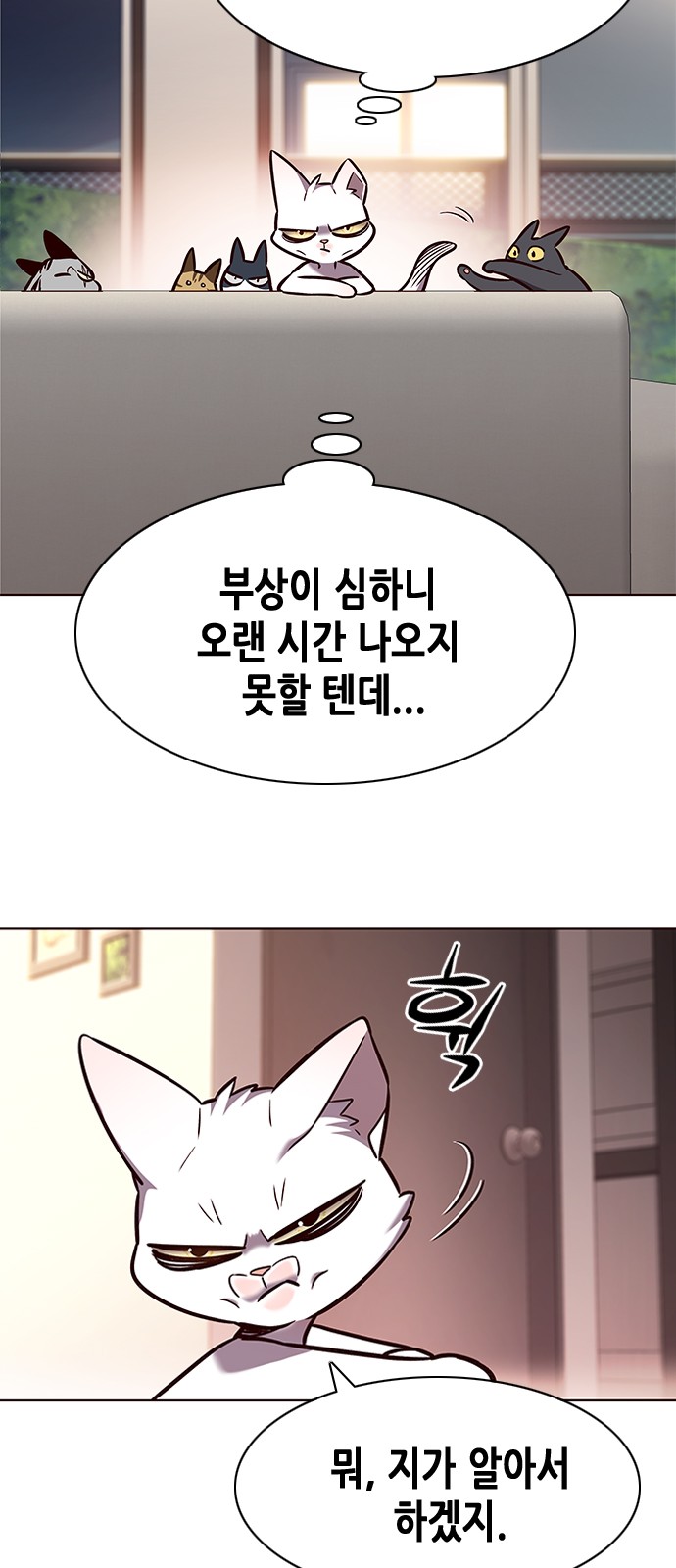 54 페이지