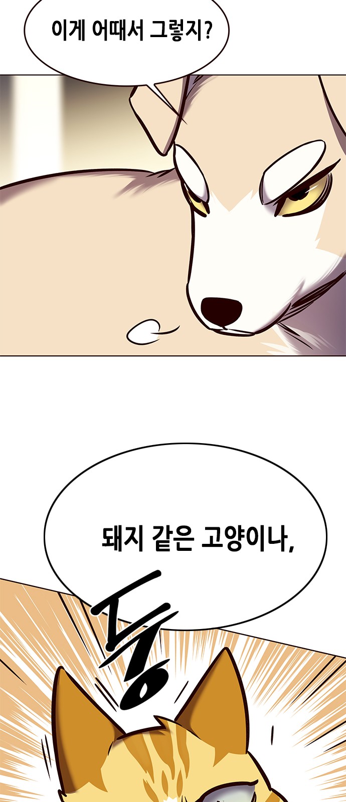 71 페이지