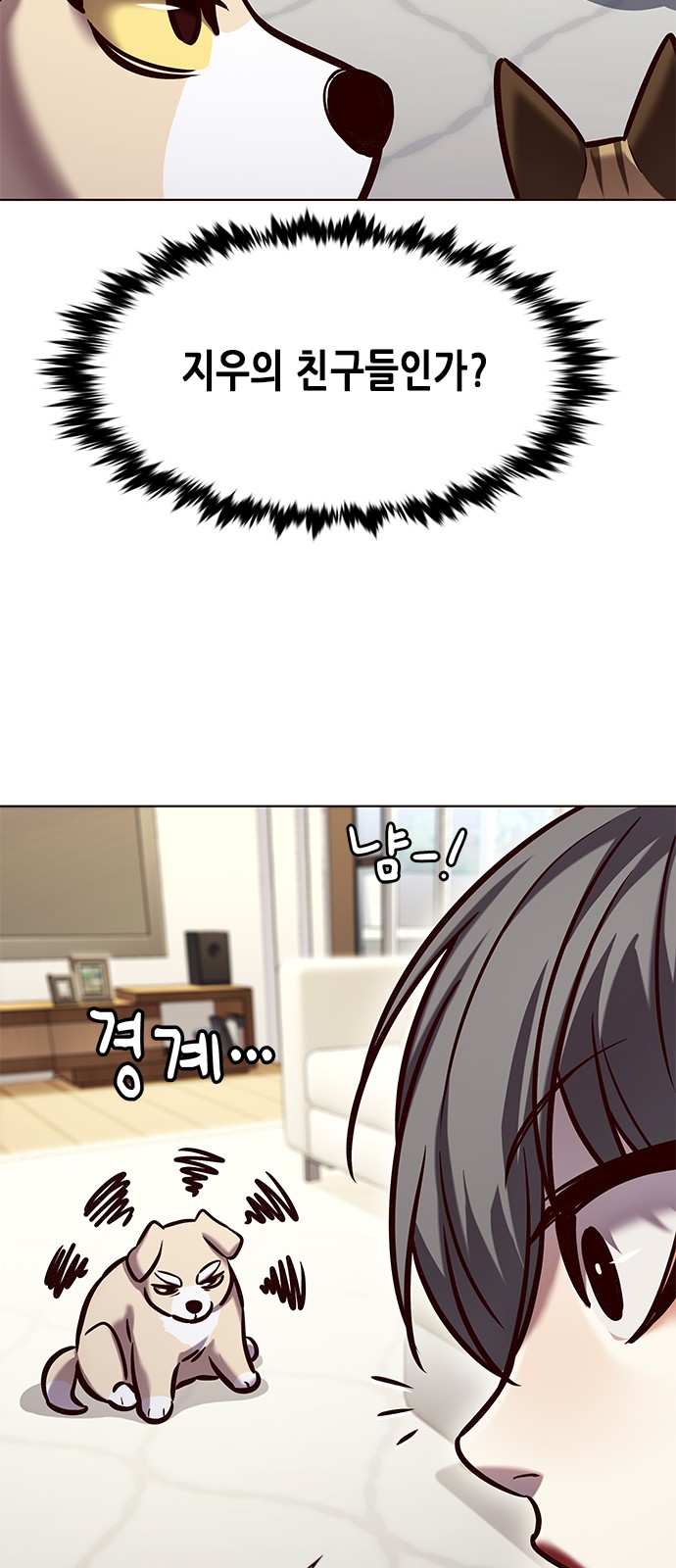 16 페이지