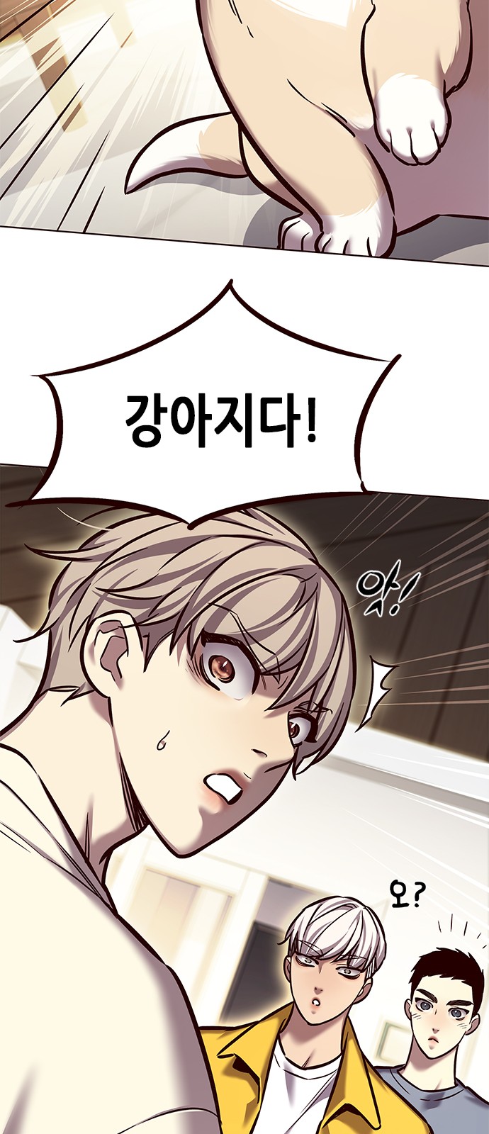 18 페이지